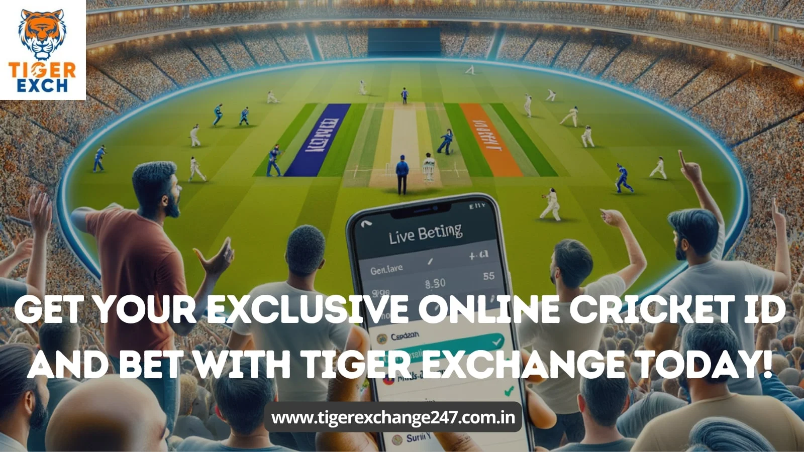 Tiger Exchange 247 Terms and Conditions